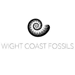 Experience Wight Coast Fossils with Education Destination